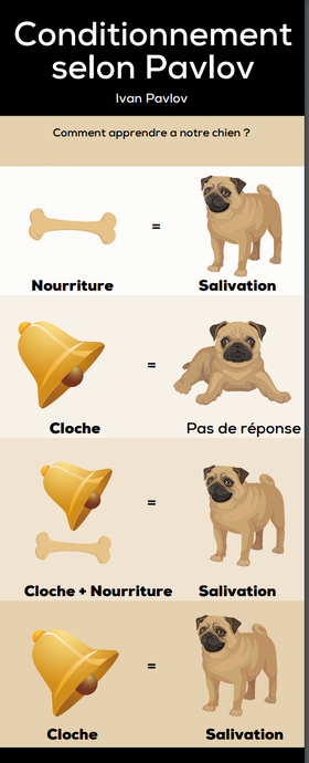 Pavlov ? Conditionnement ? Chien ?