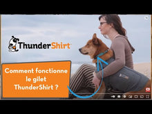 Charger et lire la vidéo dans la visionneuse de la Galerie, Gilet relaxant ThunderShirt
